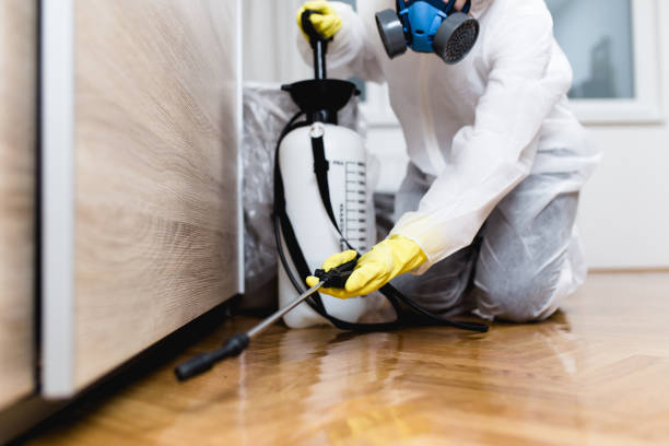 Best Local Pest Control Services  in Macon, MO
