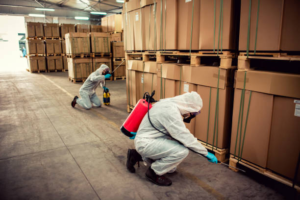 Best Pest Prevention Services  in Macon, MO