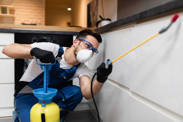 Best Mosquito Control Services  in Macon, MO