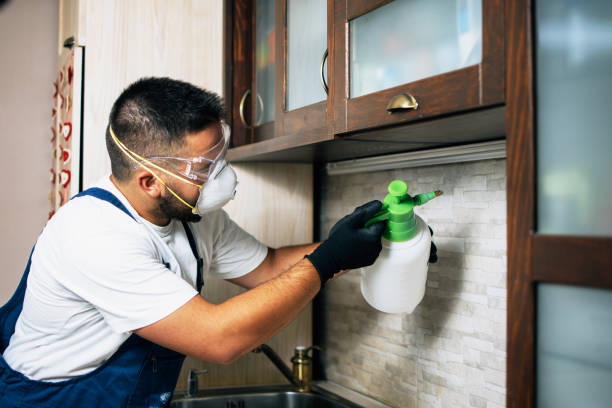 Best Pest Control for Businesses  in Macon, MO