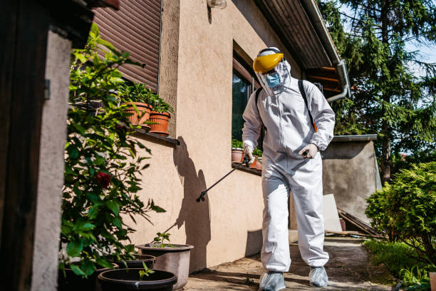 Best Pest Removal Services  in Macon, MO