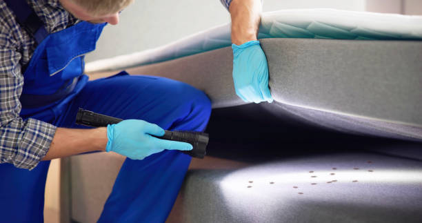Best Wasp Removal Services  in Macon, MO