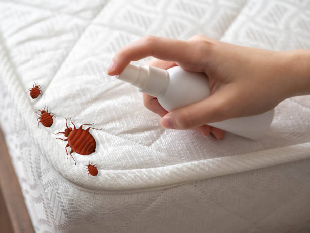 Best Affordable Pest Control Services  in Macon, MO
