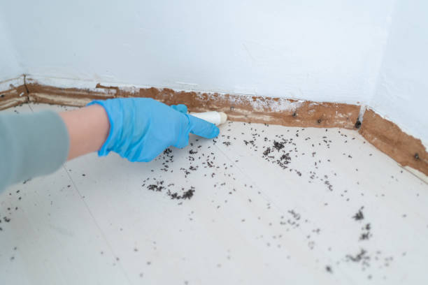 Best Commercial Pest Control Services  in Macon, MO