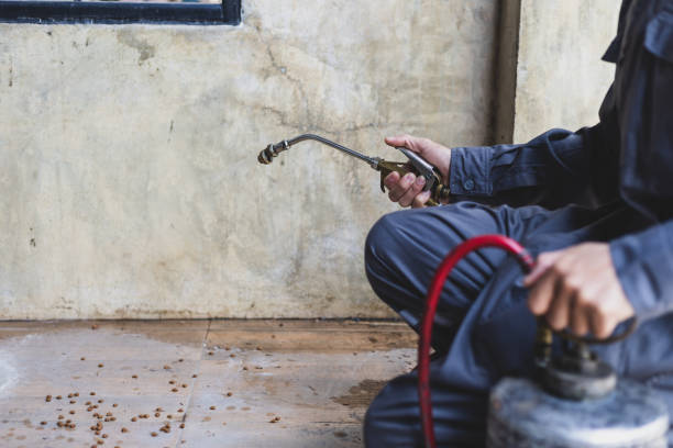 Best Residential Pest Control  in Macon, MO